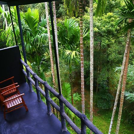 Cool Garden Belihuloya เบลิฮุล โอยา ภายนอก รูปภาพ