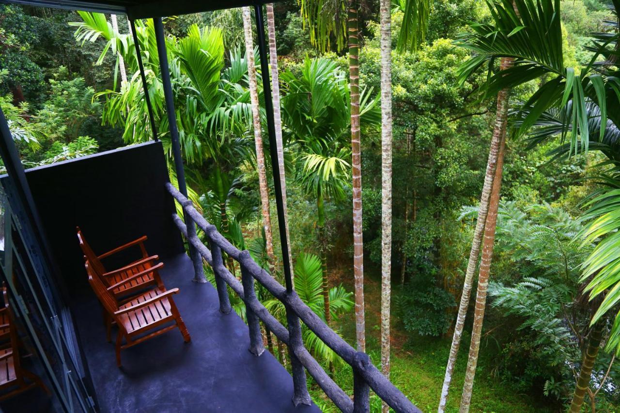 Cool Garden Belihuloya เบลิฮุล โอยา ภายนอก รูปภาพ